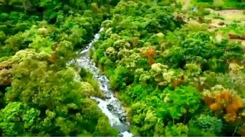 ESPECTACULAR FINCA PARA DESARROLLO EN OROSI, CARTAGO.  en Orosi, Paraíso, Cartago — $3,960,000 - Foto 5 de 19