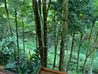 VENTA DE QUINTA DE 5.000 M2 CON ACCESO AL RIO PEÑAS BLANCAS Y RANCHO EN SANTA ELENA, PEREZ ZELEDON in El General, Pérez Zeledón, San José — $181,000 - Photo 4 of 31