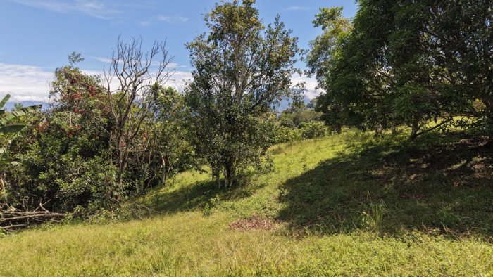 SE VENDE TERRENO LISTO PARA CONSTRUIR EN ZONA TRANQUILA Y DE CLIMA FRESCO en Cajón, Pérez Zeledón, San José — ₡ 16 000 000 - Foto 3 de 11