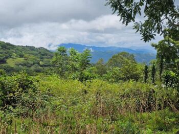 VENTA DE DOS LOTES, SAN JOSE, MORA, PICAGRES  in Picagres, Mora, San José — 40 000 000 ₡ - Photo 5 of 11