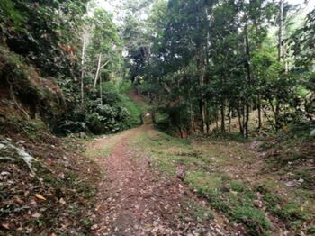 Finca en Venta Cahuita, Talamanca, Limón