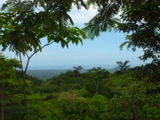Finca en venta Cobano Puntarenas 82 hectareas vista al mar en Cóbano, Puntarenas — $2,000,000 - Foto 2 de 8