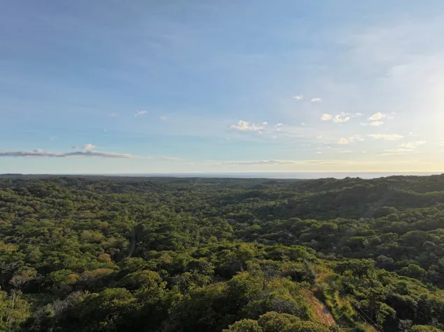 Vacant Lot with Ocean View for Sale in Altos de Paraíso, Playa Negra in Santa Cruz, Guanacaste — $99,000
