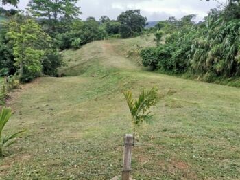 SE VENDE BELLA PROPIEDAD EN ESQUIPULAS, PALMARES.  en Esquipulas, Palmares, Alajuela — 90 000 000 ₡ - Foto 4 de 10
