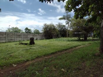 Casa en Venta Cañas, Cañas, Guanacaste