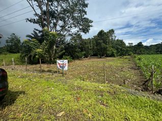 Se Vende Lote en Puerto Jiménez