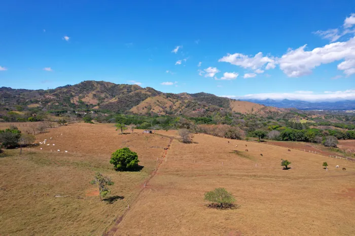 Exceptional Property for Sale Ideal for Investment in Atenas in Atenas, Alajuela — $3,200,000 - Photo 2 of 14