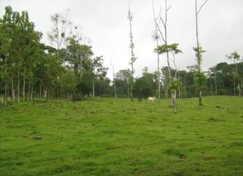 Venta de Finca  en Katira, Guatuso, Alajuela — 75 000 000 ₡ - Foto 2 de 7