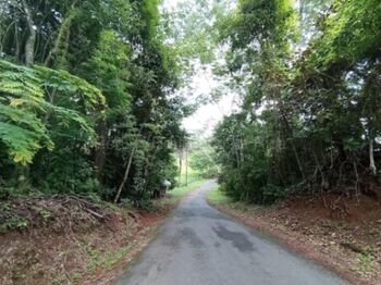 Terreno residencial en venta con vista panorámica en Orotina #26-2185 GS en Hacienda Vieja, Orotina, Alajuela — $100,000 - Foto 4 de 7