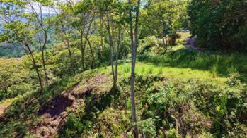SE VENDE TERRENO CON CLIMA FRESCO Y PRIVACIDAD EN GUADALUPE DE RIVAS en Rivas, Pérez Zeledón, San José — $115,000 - Foto 5 de 7