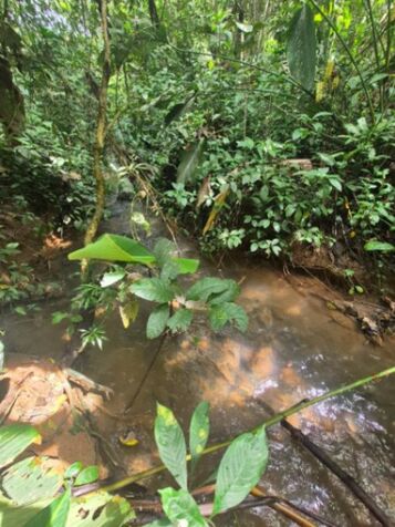 Finca de 6.4 hectares con rio Arenilla, San Pedro, Perez Zeledon. en Cajón, Pérez Zeledón, San José — $159,999