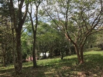 Venta de Lote en Puriscal, San José. RAH 26-164 en Grifo Alto, Puriscal, San José — $90,000 - Foto 5 de 12