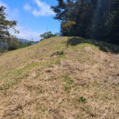 Se vende lote, gran oportunidad en Piedades Sur, San Ramòn en Piedades Sur, San Ramón, Alajuela — 32 000 000 ₡ - Foto 5 de 12