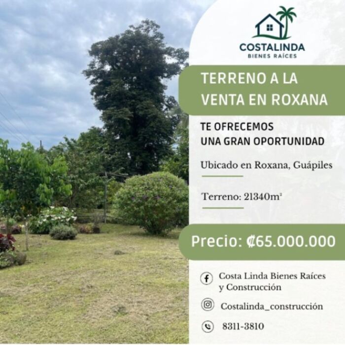 Propiedad a la venta en Roxana, Guápiles en Roxana, Pococí, Limón — ₡ 65 000 000