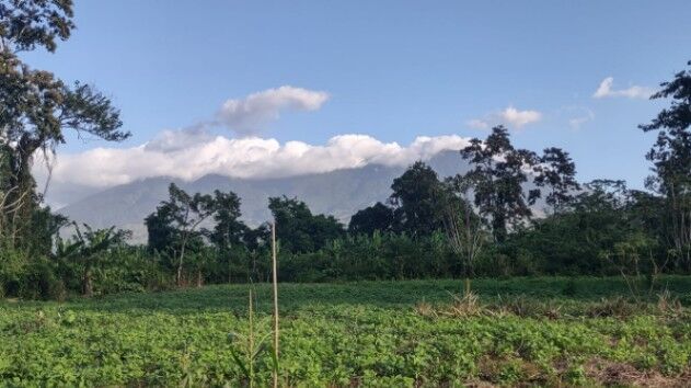 Se VENDEN LOTES LLANOS DEL MIRAVALLES, UPALA en Aguas Claras, Upala, Alajuela — ₡ 11 500 000