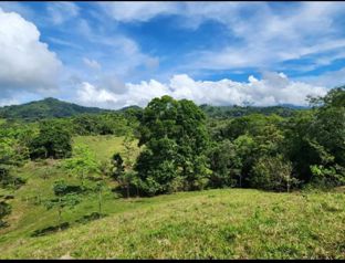 Se vende finca de 19 hectáreas en la bola, turrubares, Carara.