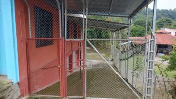 Edificio en venta  in Corredor, Corredores, Puntarenas — 80 000 000 ₡ - Photo 5 of 11