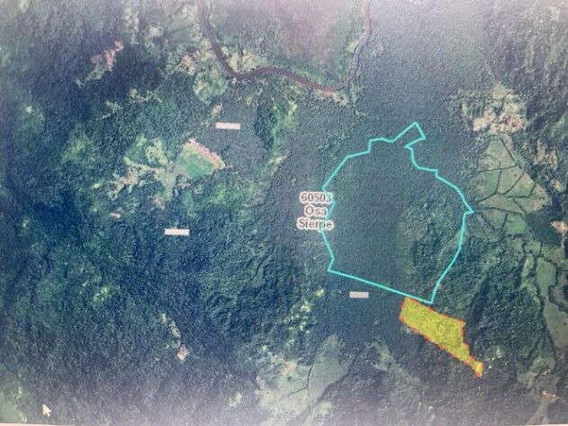 SE VENDE BELLA FINCA EN SIERPE DE OSA.  en Sierpe, Osa, Puntarenas — ₡ 70 000 000