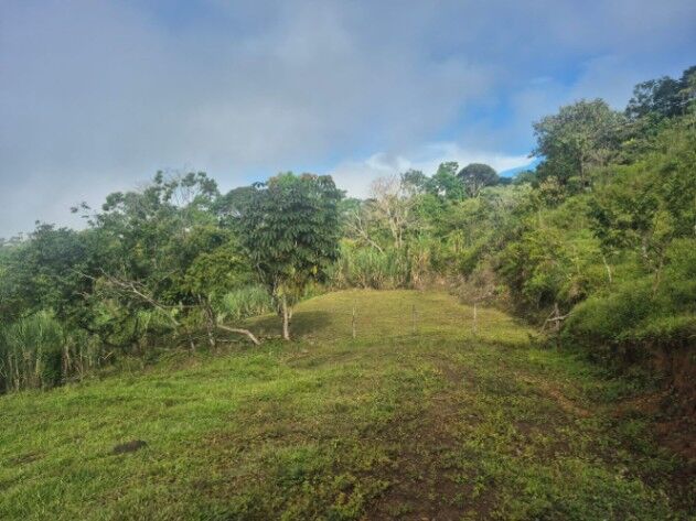 Finca en San Blas, Perez Zeledon. in San Isidro De El General, Pérez Zeledón, San José — $129,999