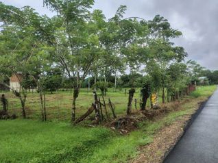 🌿 LOTE DE 2.209 m² EN VENTA | MUELLE DE LA PALMERA, SAN CARLOS en La Palmera, San Carlos, Alajuela — 40 000 000 ₡ - Foto 5 de 13