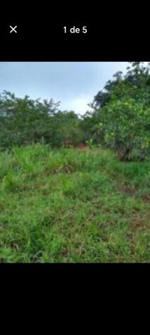 DE OPORTUNIDAD BELLA Y ÚTIL FINCA EN ACOSTA, SAN JOSÉ.  en Palmichal, Acosta, San José — ₡ 2 500 000