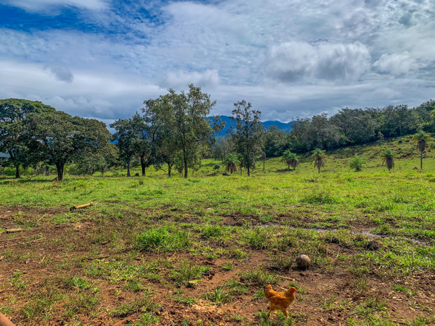 Hacienda Las Mesas de Cañas Dulces, Liberia, Guanacaste. en Liberia, Guanacaste — $3,500,000 - Foto 2 de 11