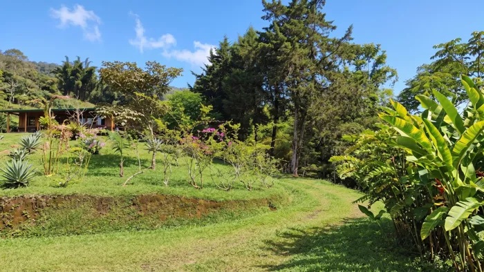 SE VENDE FINCA SOSTENIBLE CON ACCESO A RIO Y VISTAS A CHIRRIPO en Rivas, Pérez Zeledón, San José — $675,000 - Foto 2 de 35