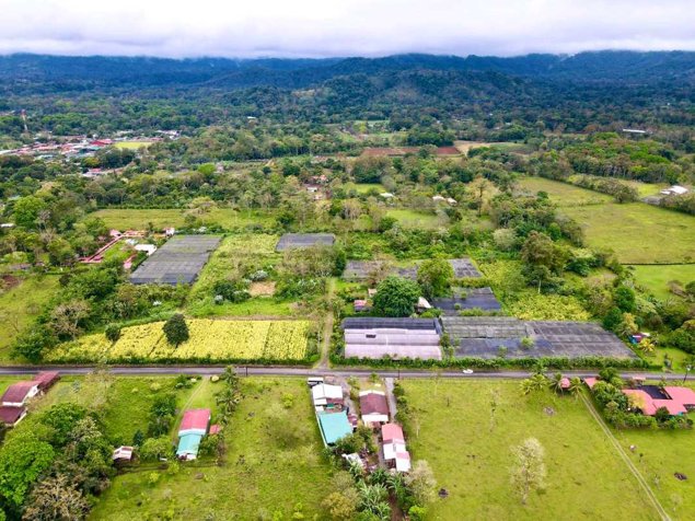 FINCA PRODUCTIVA DE EXPORTACIÓN VALLE AZUL, SAN RAMÓN. en San Ramón, Alajuela — $2,500,000