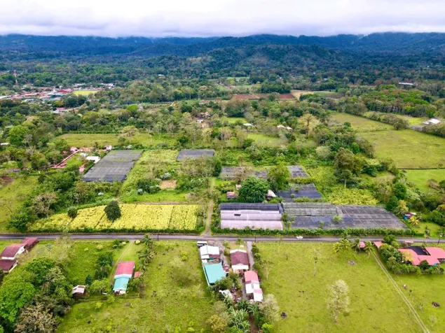 EXPORT-READY PRODUCTIVE FARM, VALLE AZUL, SAN RAMÓN. in San Ramón, Alajuela — $2,500,000