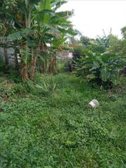 Land For Sale Grecia, Grecia, Alajuela