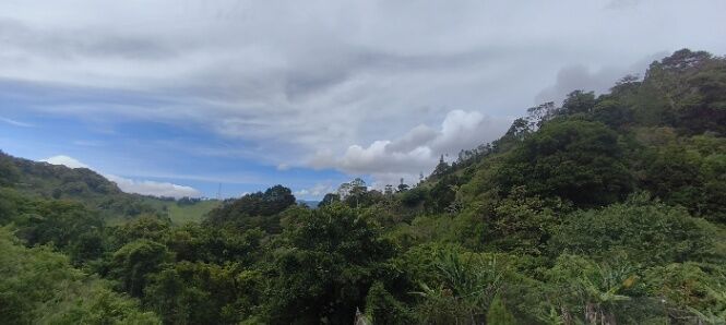 Terreno de montaña 5000 m²  Vistas Panorámicas, Jericó Desamparados en San Miguel, Desamparados, San José — ₡ 85 000 000