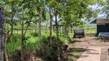 Venta de Terreno de Gran Extensión con Potencial de Desarrollo en Turrialba #27-226 GS en Chirripó, Turrialba, Cartago — $1,050,000 - Foto 4 de 8