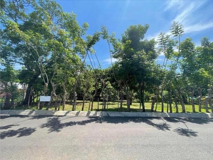 VENTA DE LOTE MIXTO Y ALTA DENSIDAD, ALAJUELA, OROTINA CENTRO en Coyolar, Orotina, Alajuela — ₡ 70 000 000
