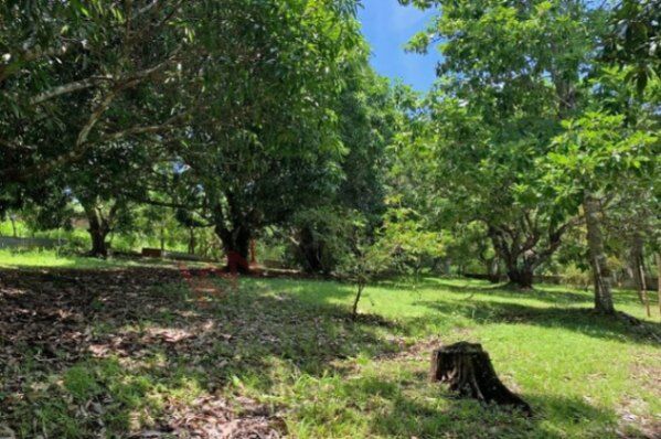 Lote en venta en Lagunillas, Garabito – 2.805 m² rodeado de naturaleza in Jacó, Garabito, Puntarenas — ₡ 32 000 000