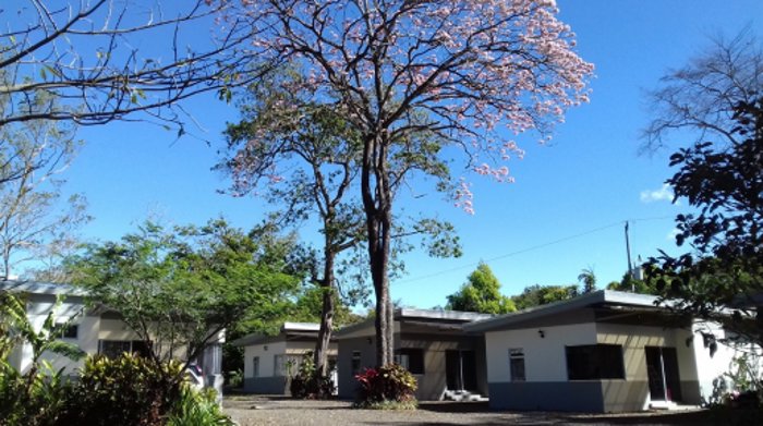 VENTA DE FINCA MEDIA DENSIDAD, CON CASA Y 8 APTOS, ALAJUELA, EL COYOL en Alajuela — $1,365,000
