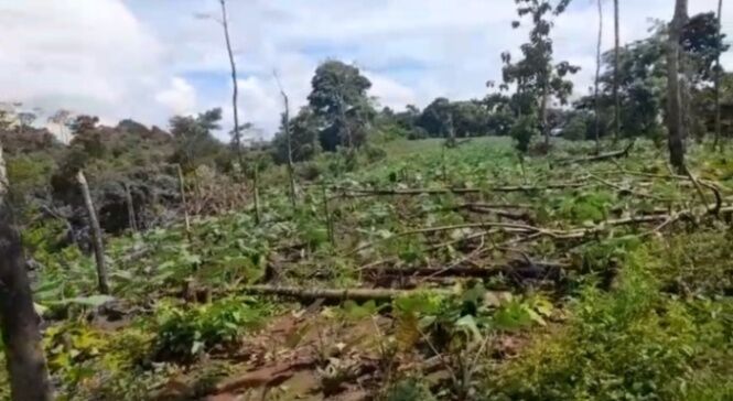 DE OPORTUNIDAD BELLA FINCA EN SAN JOSÉ DE UPALA.  en San José, Upala, Alajuela — ₡ 129 000 000