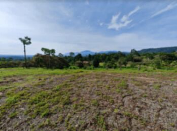 Lote en Venta Las Horquetas, Sarapiquí, Heredia