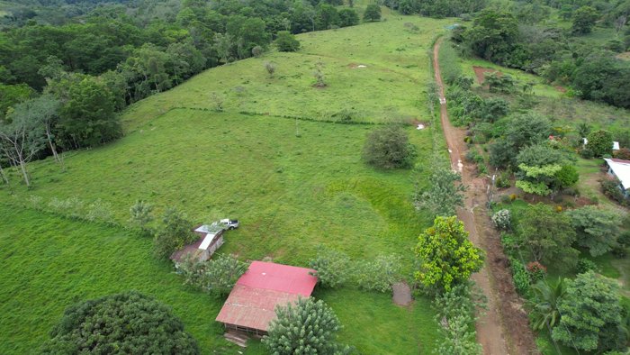 Finca en San Rafael de Guatuso en San Rafael, Guatuso, Alajuela — ₡ 392 400 000 - Foto 3 de 13