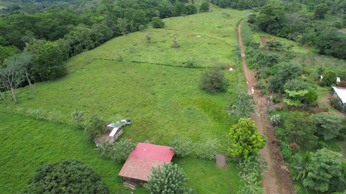 Finca en San Rafael de Guatuso in San Rafael, Guatuso, Alajuela — ₡ 392 400 000 - Photo 3 of 13