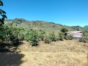 Venta lote en Santa María de Dota en Santa María, Dota, San José — 44 000 000 ₡ - Foto 4 de 7