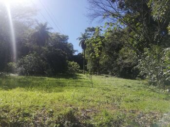 Se vende amplia finca de 5.6 hectáreas en Orotina Alajuela 21-1635 en Orotina, Alajuela — $1,681,600 - Foto 4 de 22