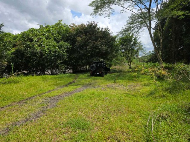 Finca de 4 hectáreas en Horquetas de Sarapiquí in Puerto Viejo, Sarapiquí, Heredia — ₡ 100 000 000 - Photo 2 of 18