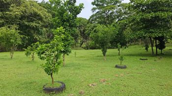 Bella finca de 34 Ha en Sabana Grande Nicoya - Photo 3 of 3