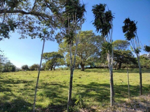 MLS-25-1563 LS VENTA LOTE SAN RAFAEL HEREDIA in San Rafael, Heredia — $238,360
