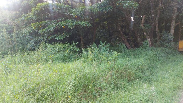Lote en venta en San Rafael de Heredia, lote # 138 en Residencial en Ángeles, San Rafael, Heredia — $320,000 - Foto 2 de 10