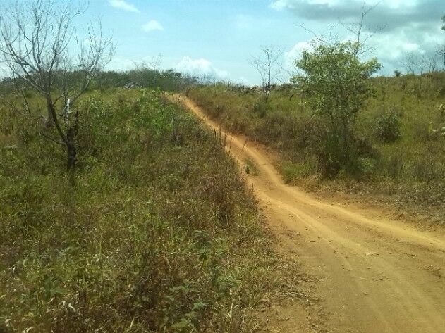 FINCA EN COSTA RICA in Potrero Grande, Buenos Aires, Puntarenas — ₡ 448 000 000