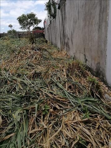 Terreno amplio Mercedes Norte Heredia in Mercedes, Heredia — ₡ 99 500 000 - Photo 2 of 4