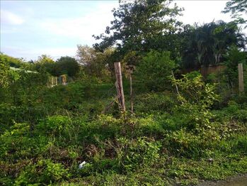 Lote en Venta Santa Cruz, Santa Cruz, Guanacaste