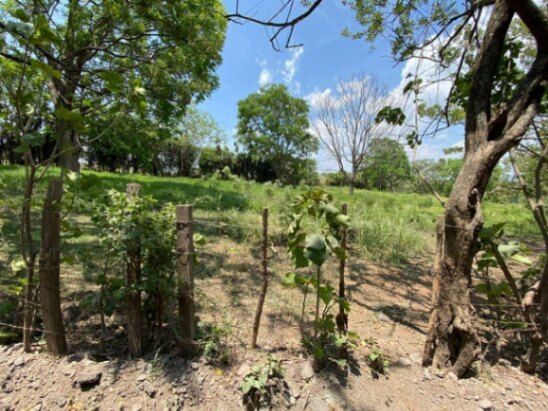 Se vende lote de 8,100m2 con uso mixto en Turrucareas Alajuela 23-3177 in Turrúcares, Alajuela — $450,000