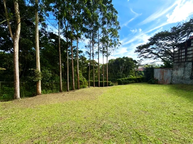 FOR SALE: FLAT LOT, 1,416.67 m², SAN RAMÓN, LA UNIÓN in San Ramón, La Unión, Cartago — $255,500 - Photo 2 of 9